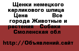 Щенки немецкого карликового шпица › Цена ­ 20 000 - Все города Животные и растения » Собаки   . Смоленская обл.